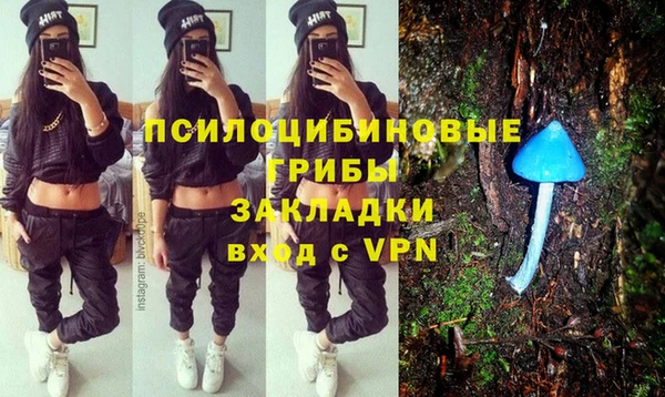 хмурый Саяногорск