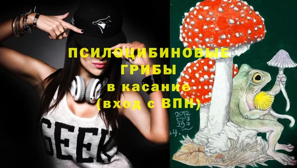 МДПВ Сатка