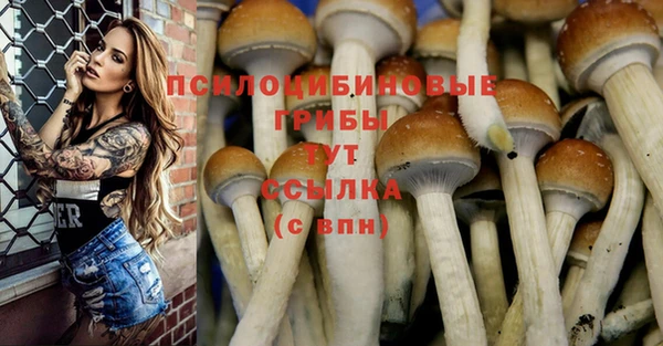 МДПВ Сатка